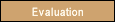 Evaluation